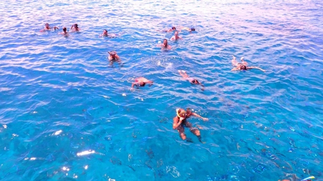 Practicando snorkel en el Atlántico 
