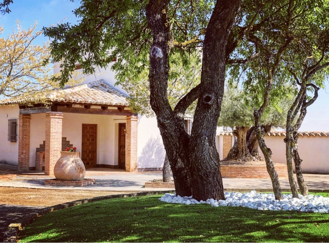 Naturaleza y espacios cuidados en la finca