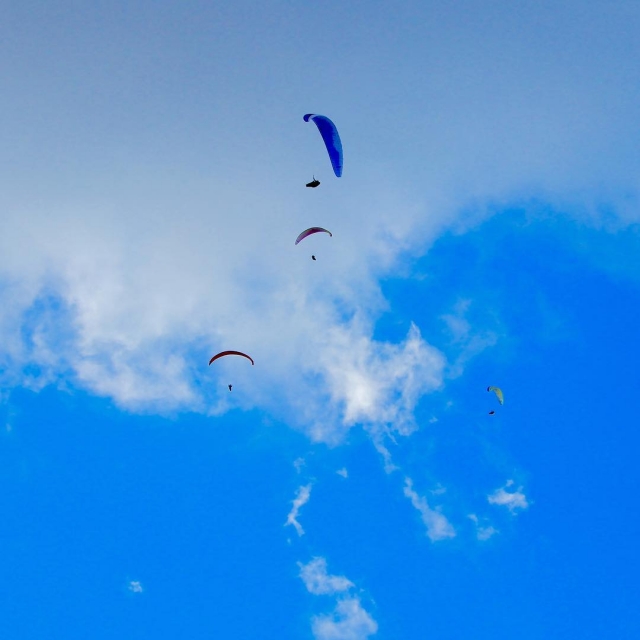  Paragliding concentration in Tenerife 