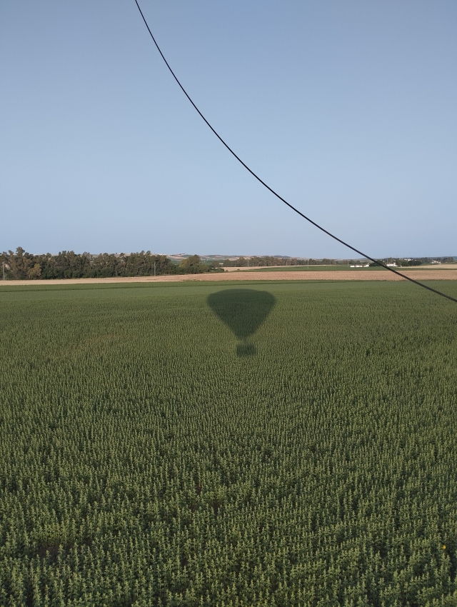 Review of Selena about Aznalcollar swamp balloon flight with breakfast