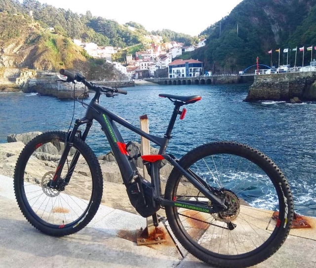  Mountain bike elettrica 