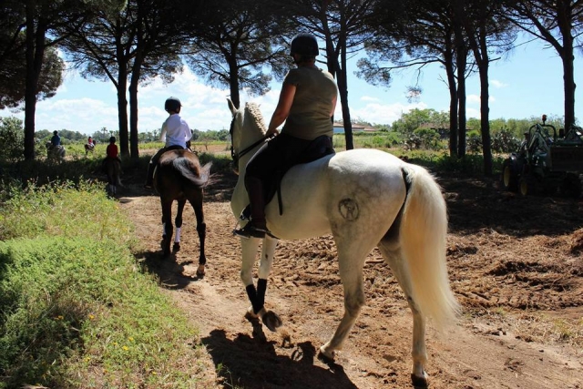 A trote por la pineda