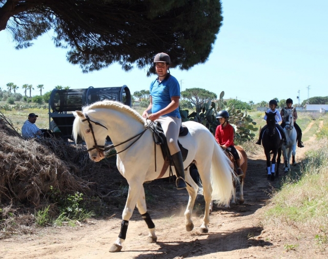 Sobre el caballo por el camino
