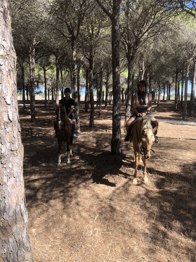 Review of Marta about Horseback riding through the pine forests of Chiclana 1 hour