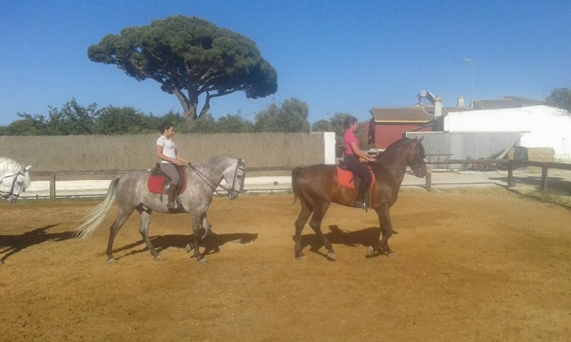 Clase de equitación en Chiclana