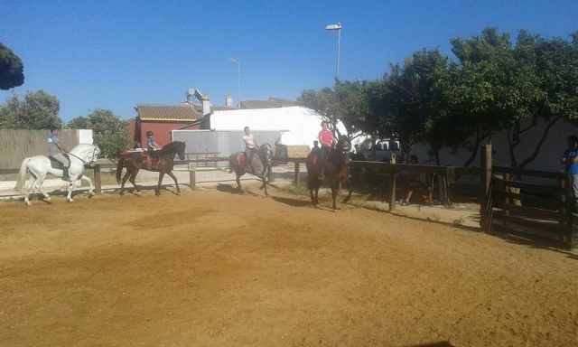 En la pista con los caballos