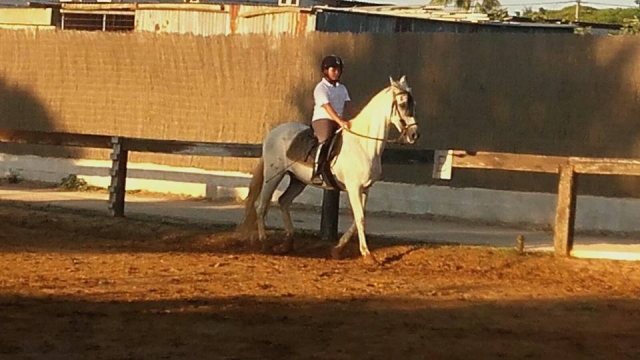 Alumnos sobre el caballo en la pista