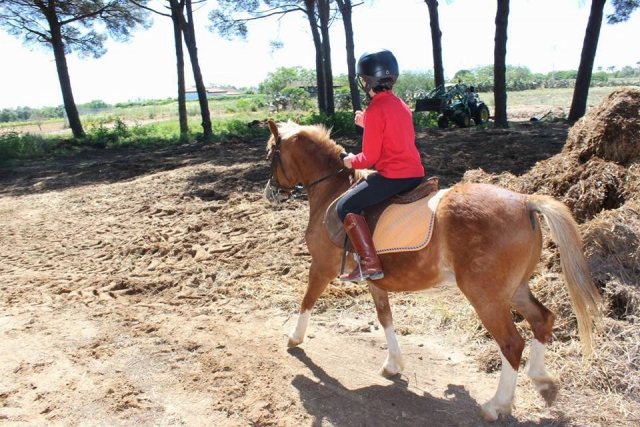Montando a un joven caballo