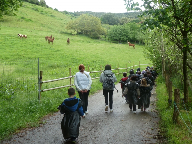 Conociendo el entorno
