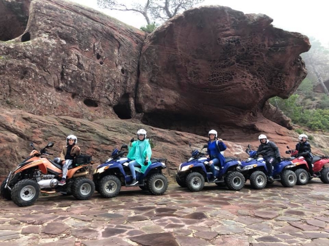  Halt mit den Quads 