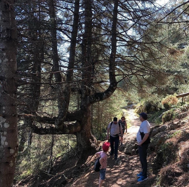  Wandern durch die Sierra de las Nieves 