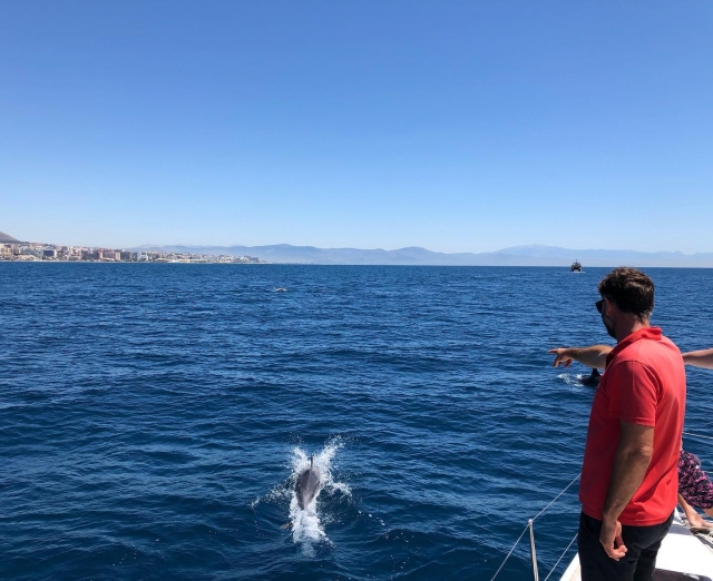 Delfín saltando junto al catamarán
