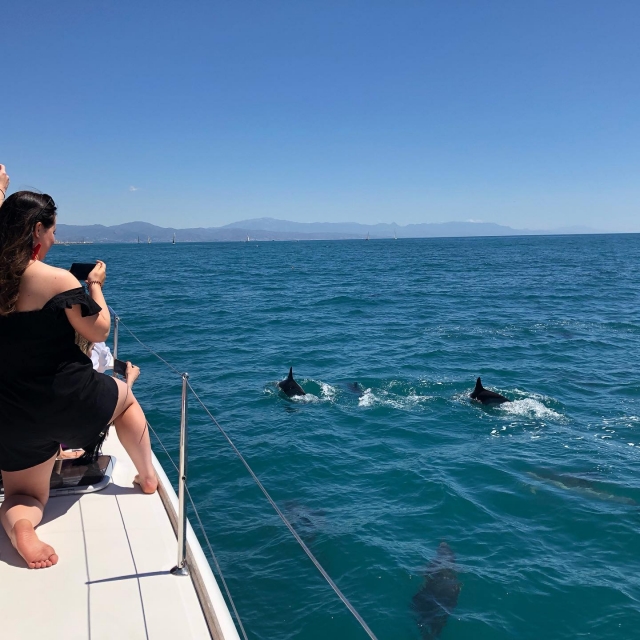 Fotografiando desde el barco la manada de delfines