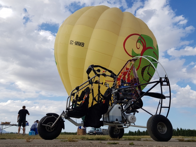  Parathrile accanto a un globo