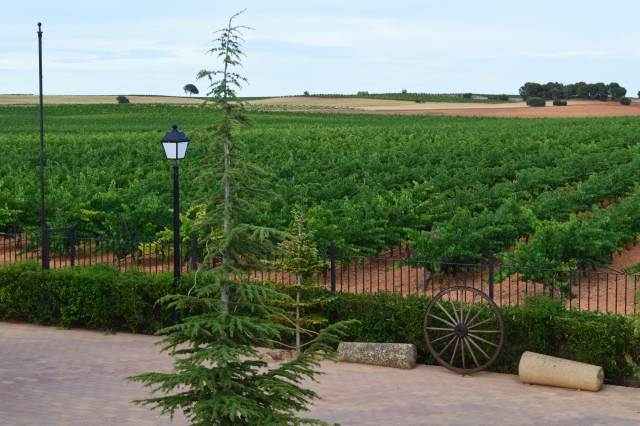 Jardines con vistas a los viñedos