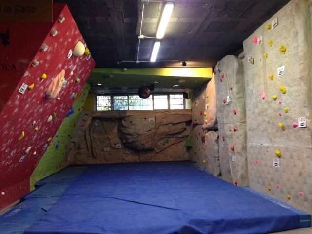  Hai il coraggio con questa parete da arrampicata? 