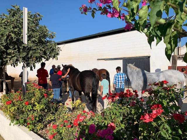  Arrival at the stables 