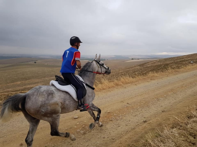 Monitor guiding the horse route 