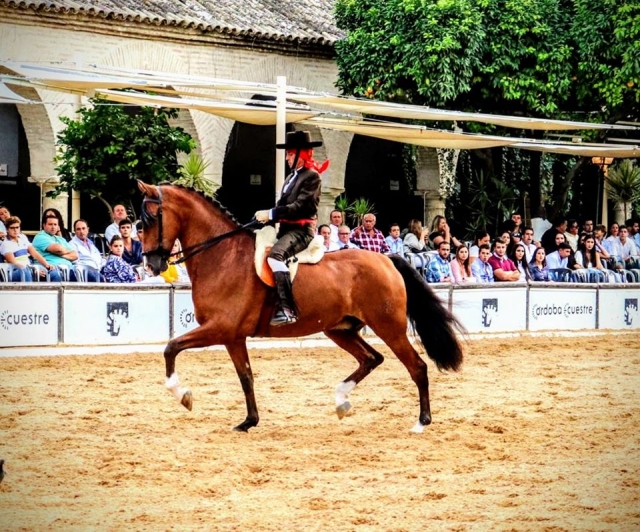 Participating in a demonstration of the technique 