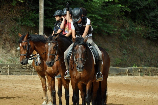  Horse riding students during class