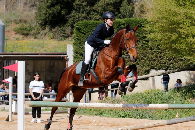  Advanced horse riding class 