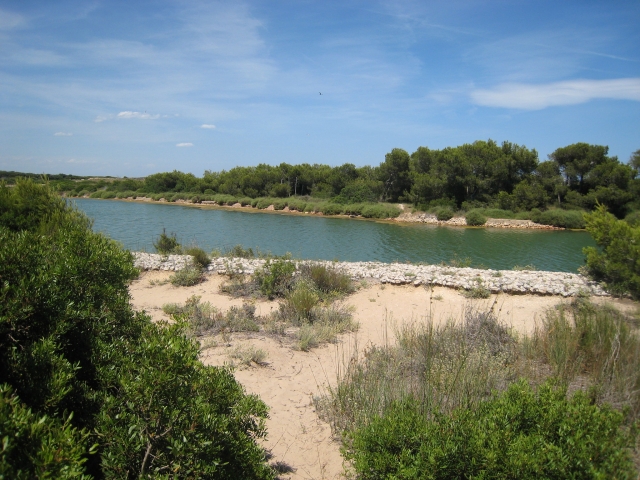  La Albufera de Valencia