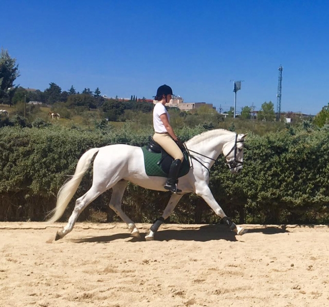 Clase de equitación en Madrid