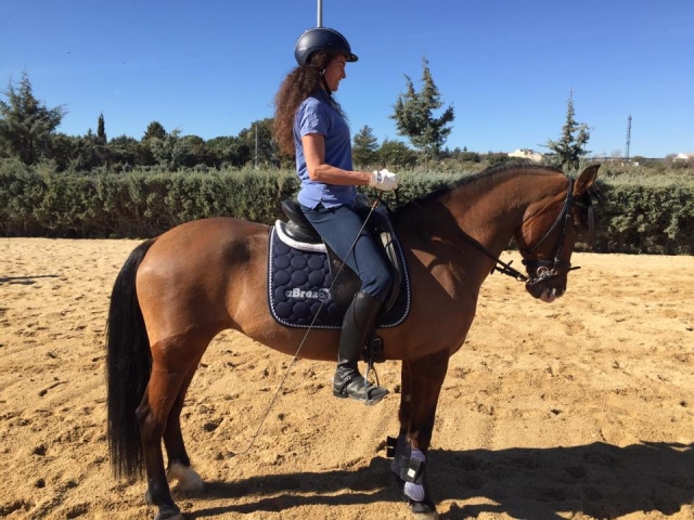 En clase de doma sobre el caballo