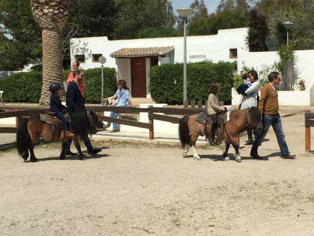  Pony rides for children in Saler 
