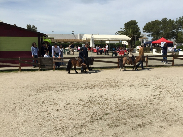  Riding arena in our facilities 