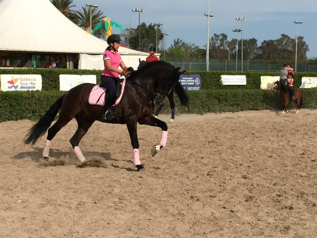  Classical dressage in Valencia 