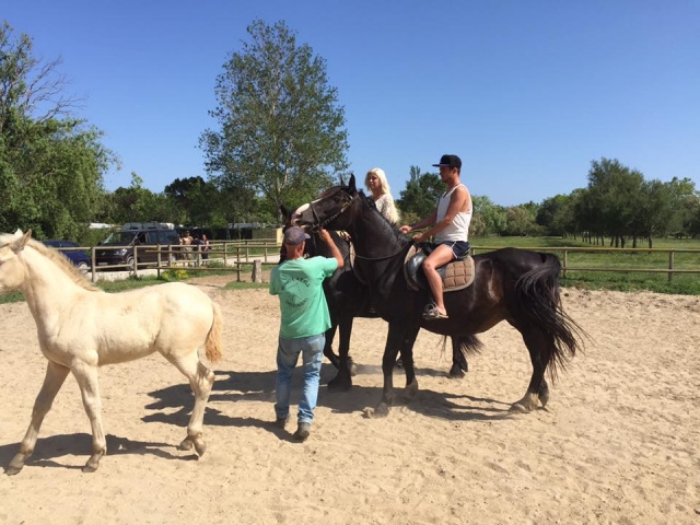  Apprentissage de l'équitation dans la région 