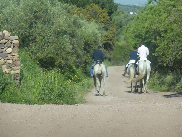Cabalgamarra por los alrededores de Ronda