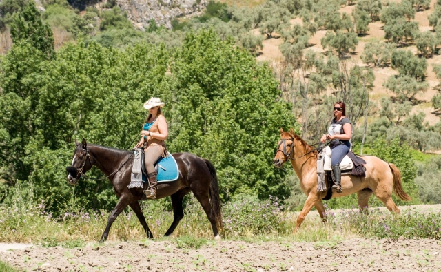 Amigas sobre los caballos duranle la ruta