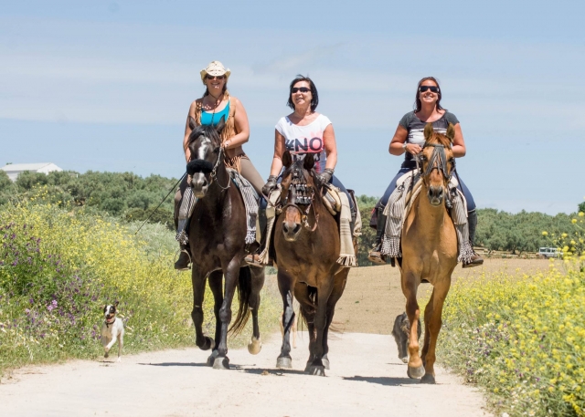 Agradable paseo campestre a caballo
