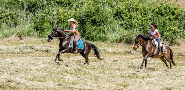 Cabalgando por los campos malagueños