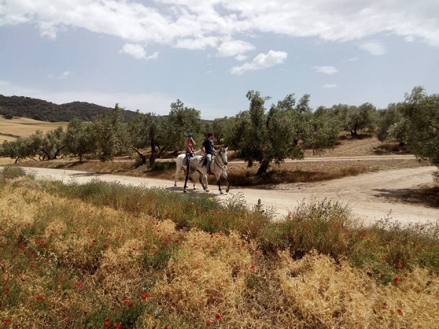 Pareja a caballo 