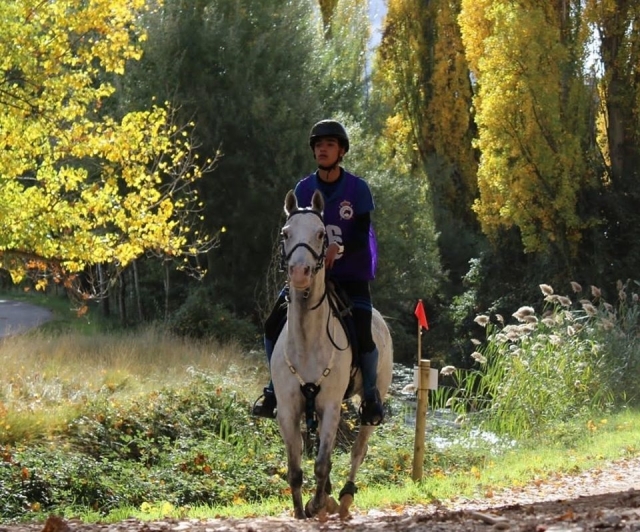  Trotting through the countryside of Cádiz 