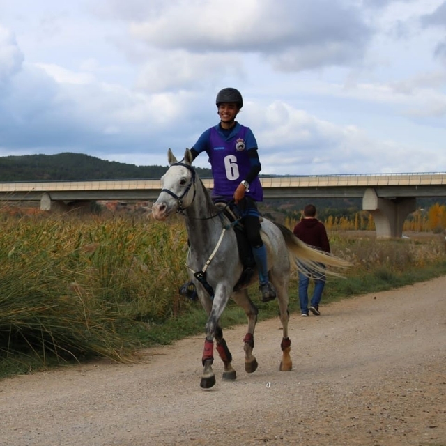  Young man training with a horse 