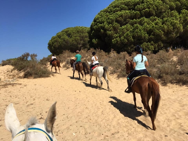  Horseback riding along the beach in Cádiz