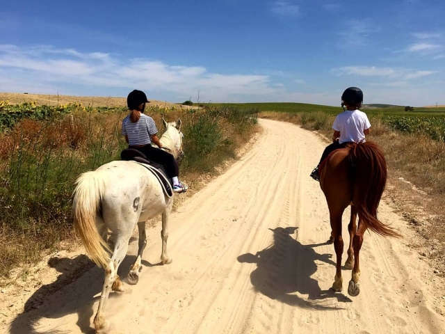  Children's horse riding camp in Cádiz 