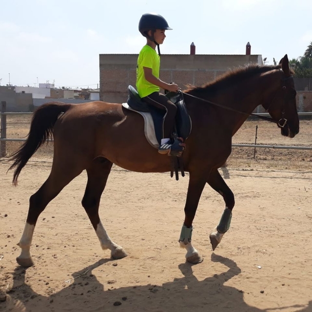  Equestrian camp in Sanlúcar de Barrameda 