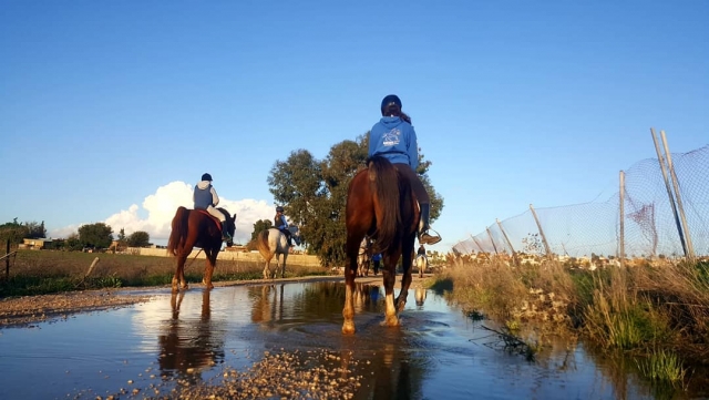  Horseback riding trails through Sanlúcar 