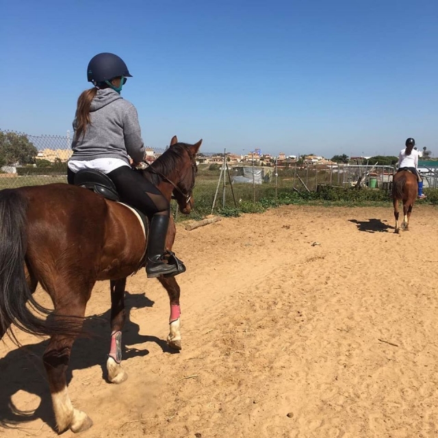  Dirt road with horses 