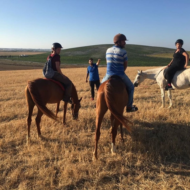  Horseback riding tour around Sanlúcar 