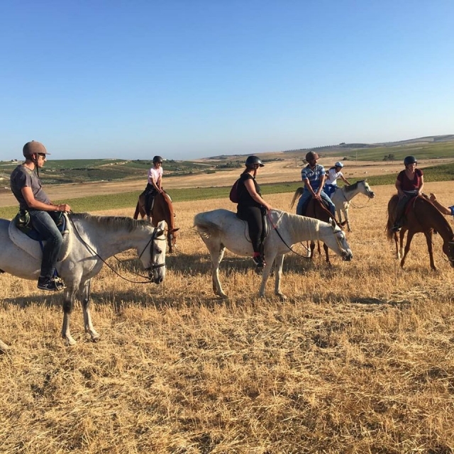  Explore the wild surroundings of Cádiz on horseback 