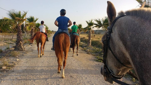  Family horseback riding excursion through Sanlúcar 