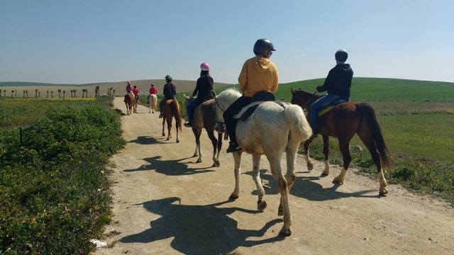  Horseback riding along the roads of Sanlúcar 
