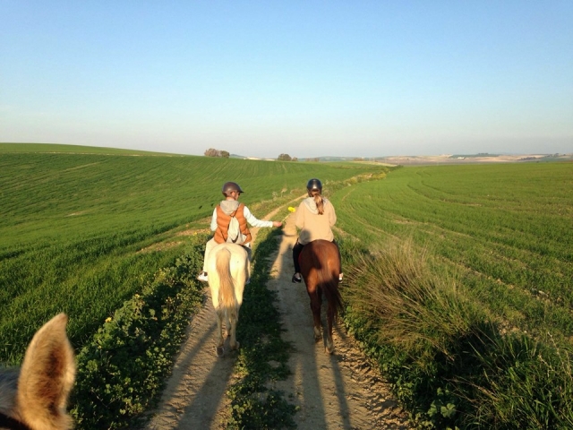  Equestrian day in Sanlúcar 