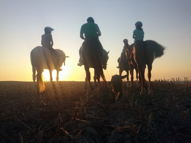  Horseback riding at sunset in Sanlúcar 